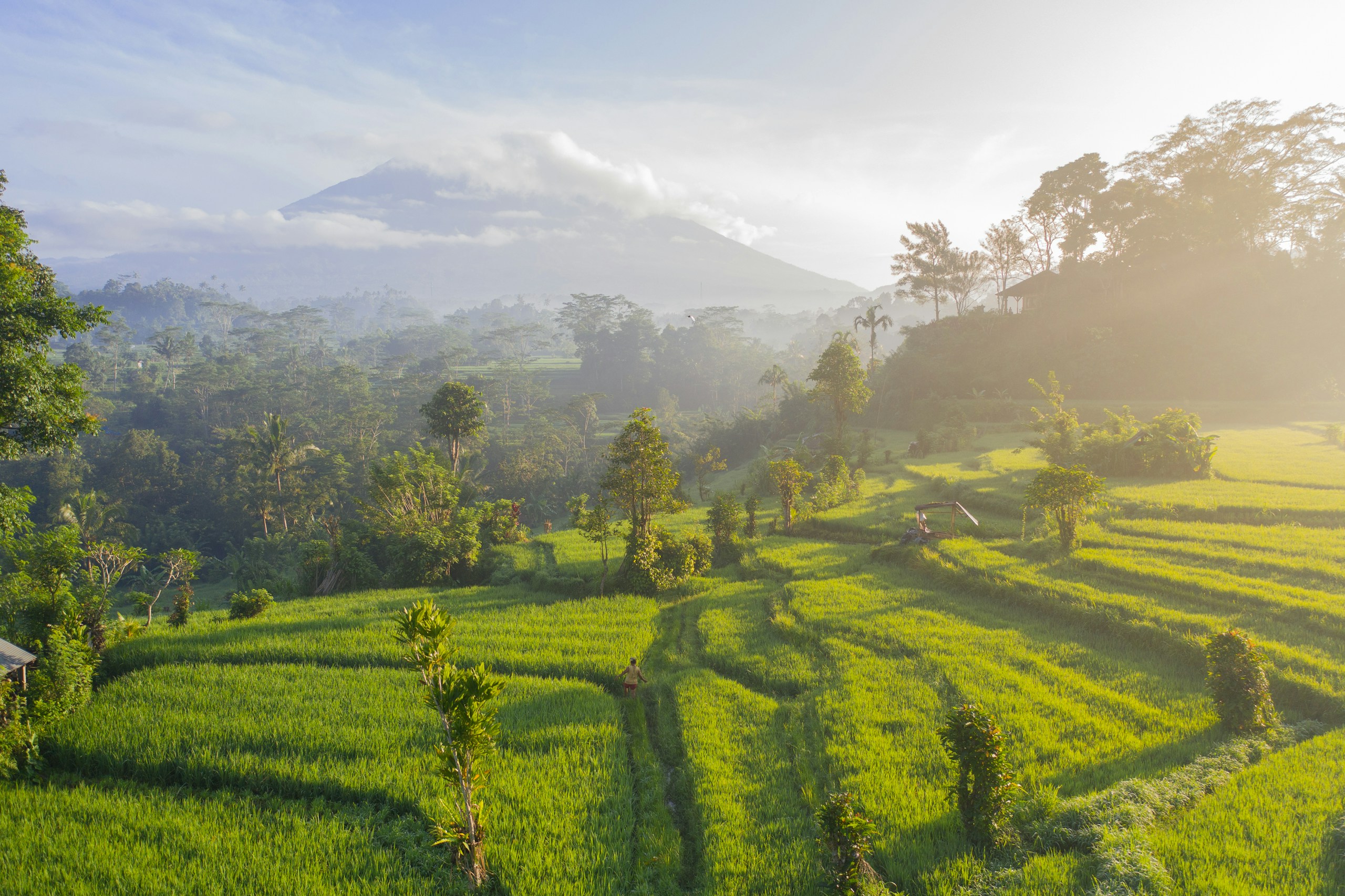 Bali guide